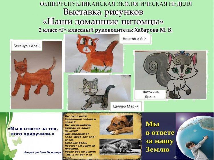 Выставка рисунков: Наши домашние питомцы!